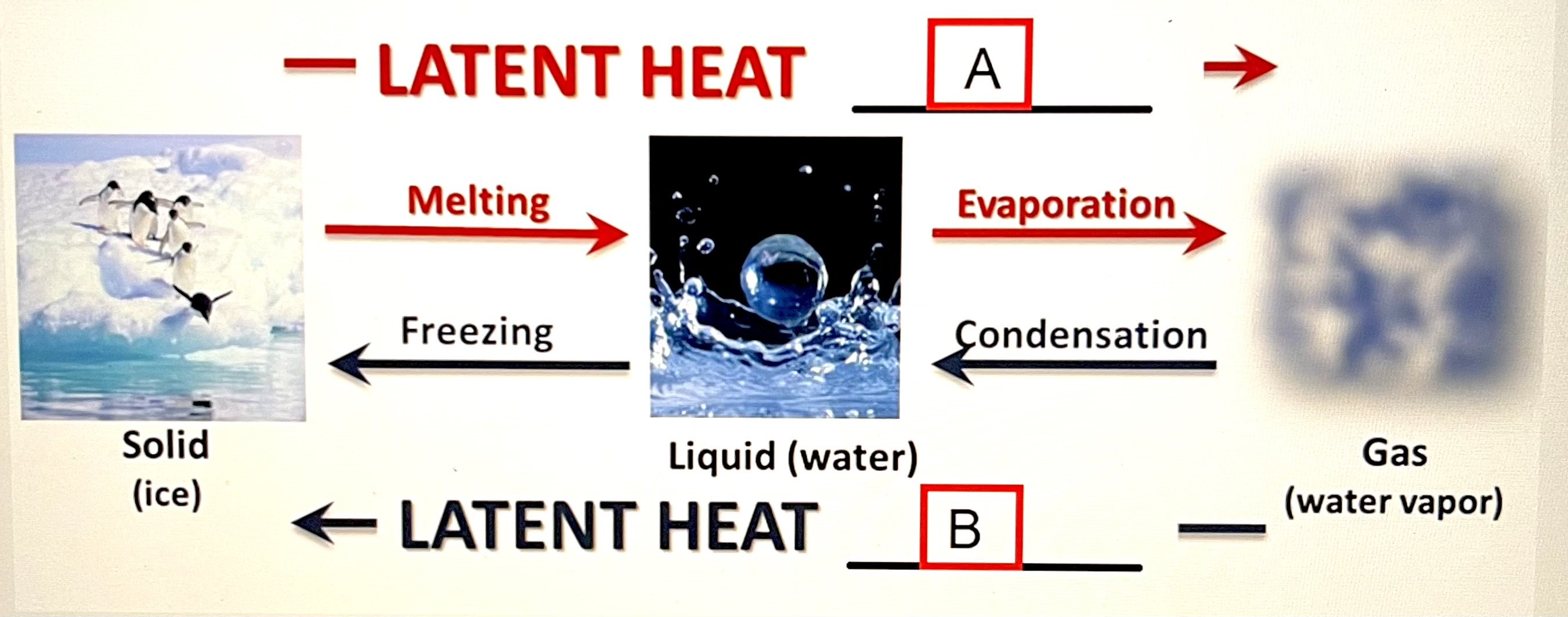 Based on the image below, identify the latent heat movement. A is representative of _____ and B is representative of _____. 