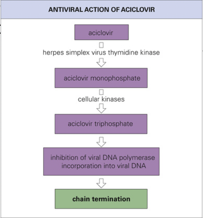 herpesvirus thymidine kinase 
