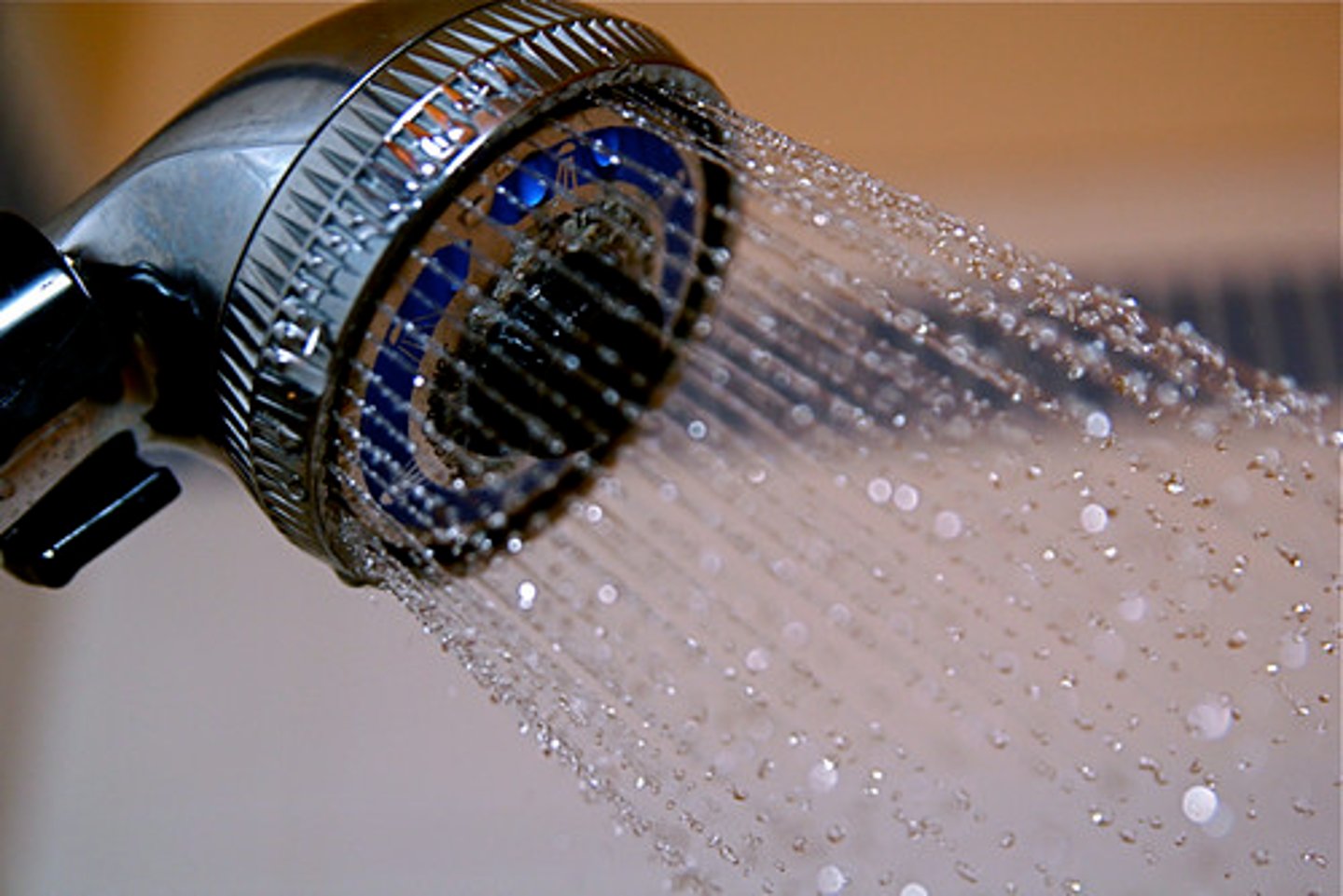 <p>the shower</p>