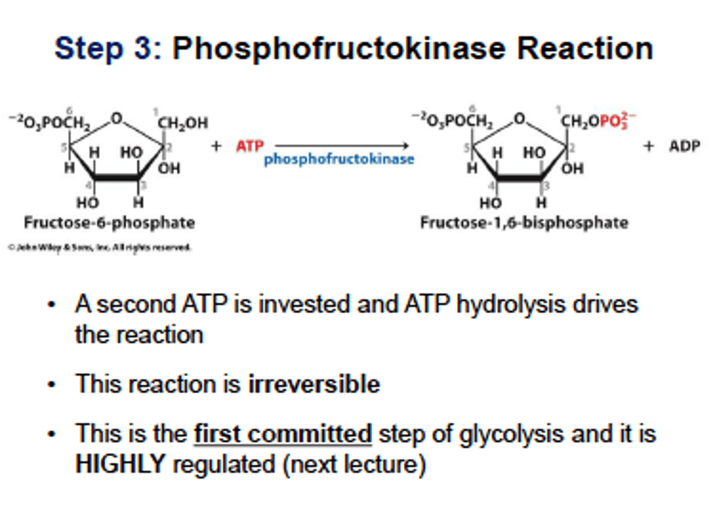 <p>what happens: fructose 6-phosphate is phosphorylated</p><p>reactants: fructose 6-phosphate + ATP</p><p>products: fructose 1,6-bisphosphate</p><p>enzyme: phosphofructokinase</p><p>overall ATP used: 2</p><p>overall ATP produced: 0</p>
