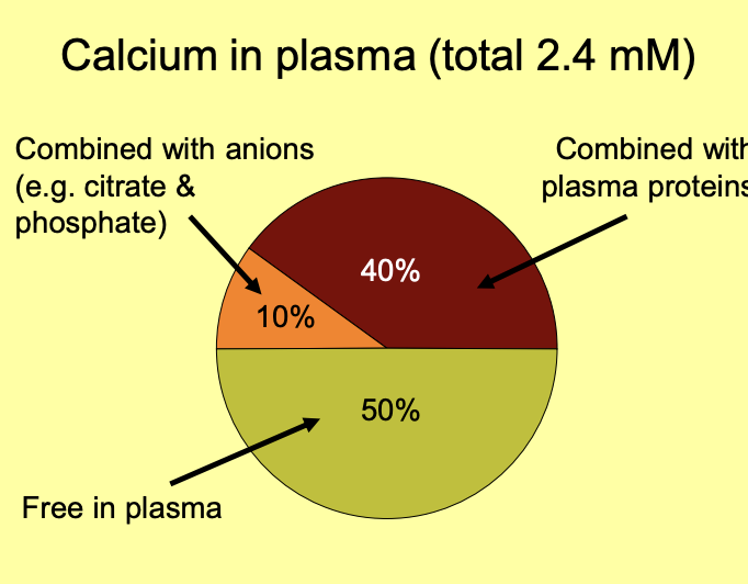 <ul><li><p>mainly in cells</p></li><li><p>sequested inside organelles</p></li></ul><p>THEREFORE→ cytoplasmic [Ca2+] is very low</p><ul><li><p>arounf 0.1 microM</p></li></ul><p></p>