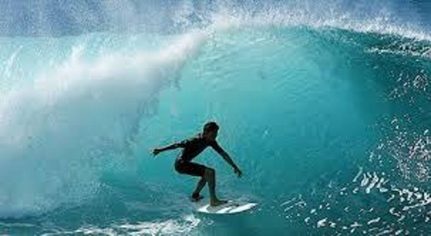 <p>(Verb Phrase) To take advantage of a trend or success</p>