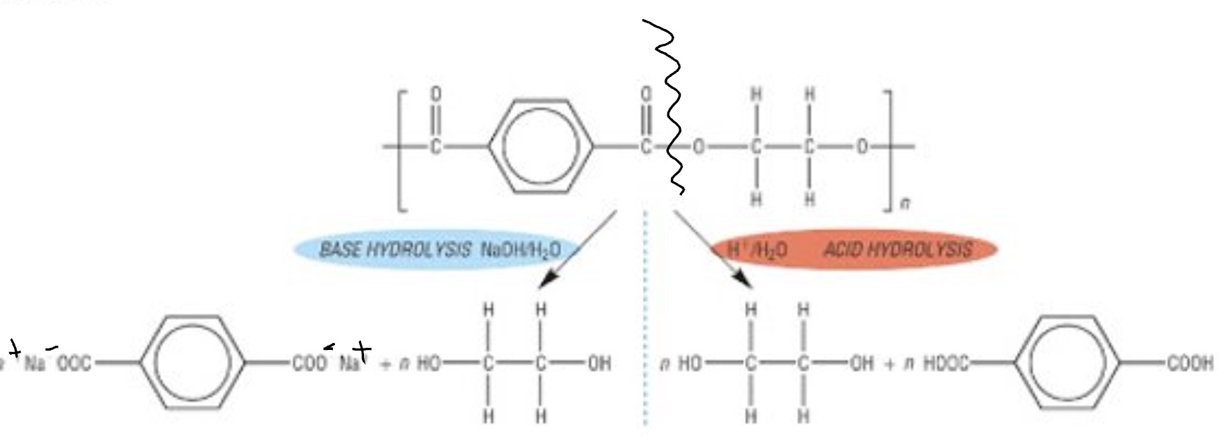 <ul><li><p>the break up of these polymers is carried out in aqueous solution with a strong acid or strong base </p></li><li><p>it can be classed as a hydrolysis reaction </p></li></ul><p></p>