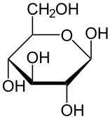 <p><span>β Glucose</span></p>