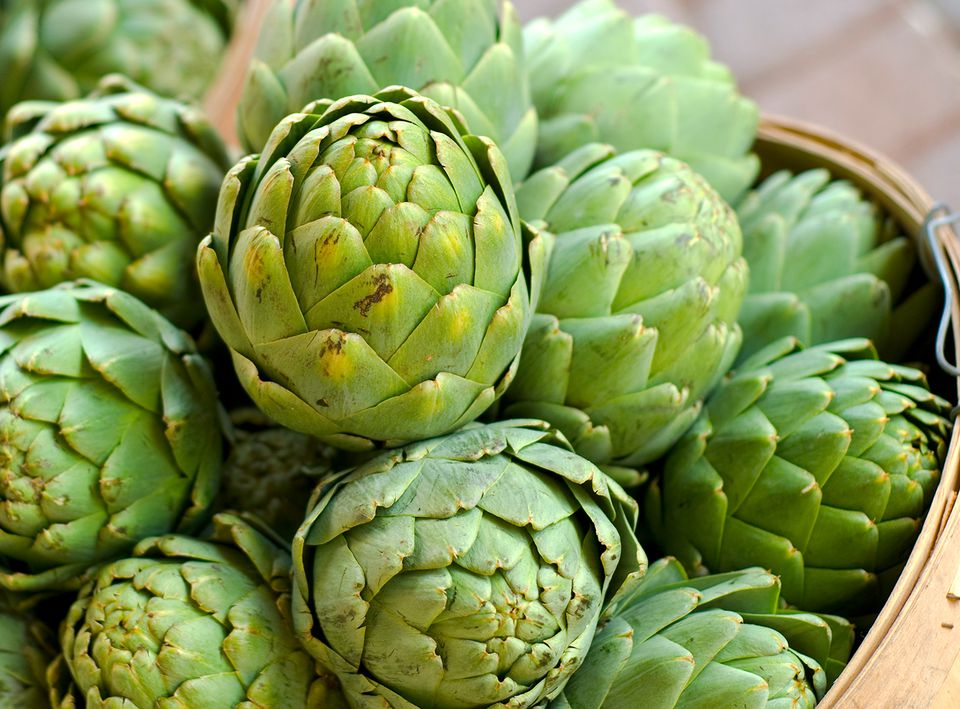 <p>Artichoke has evidence of helping what 2 conditions?</p>