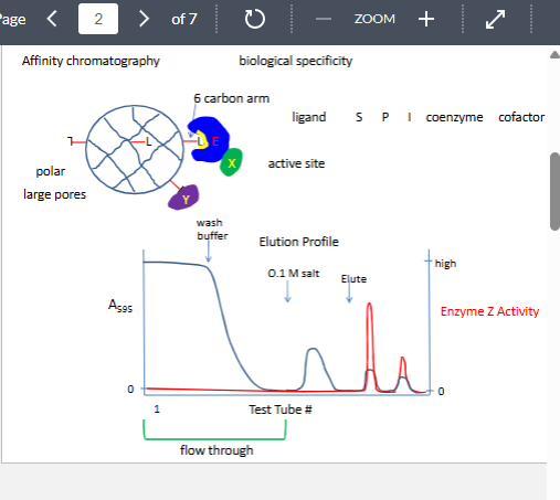 <p>affinity chromatography</p>