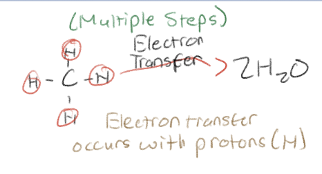 <p>Occurs with proton (as a H atom) </p><p>Many series of steps</p>