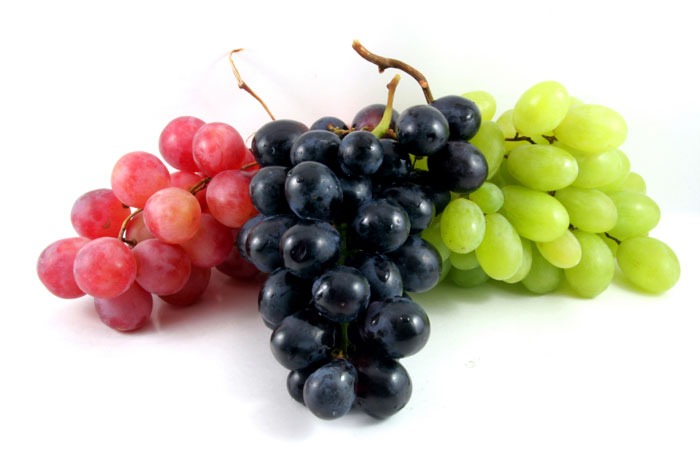<p>Grapes</p>