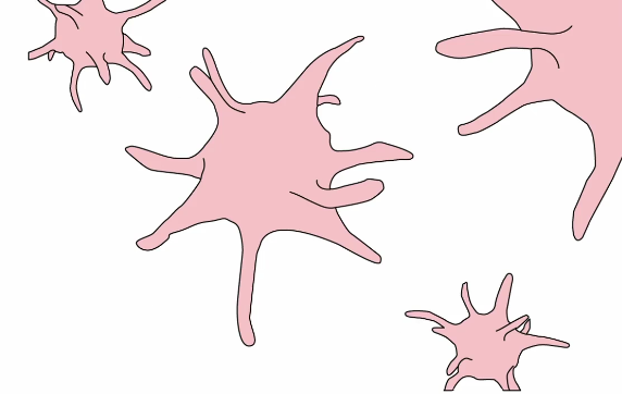 <ul><li><p>Small fragments of cells </p></li><li><p>Extentions to their surface that protrude out</p></li></ul><p></p>