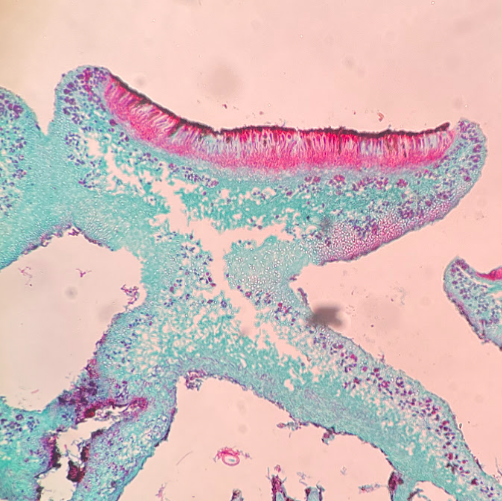 <p>What is this?</p>