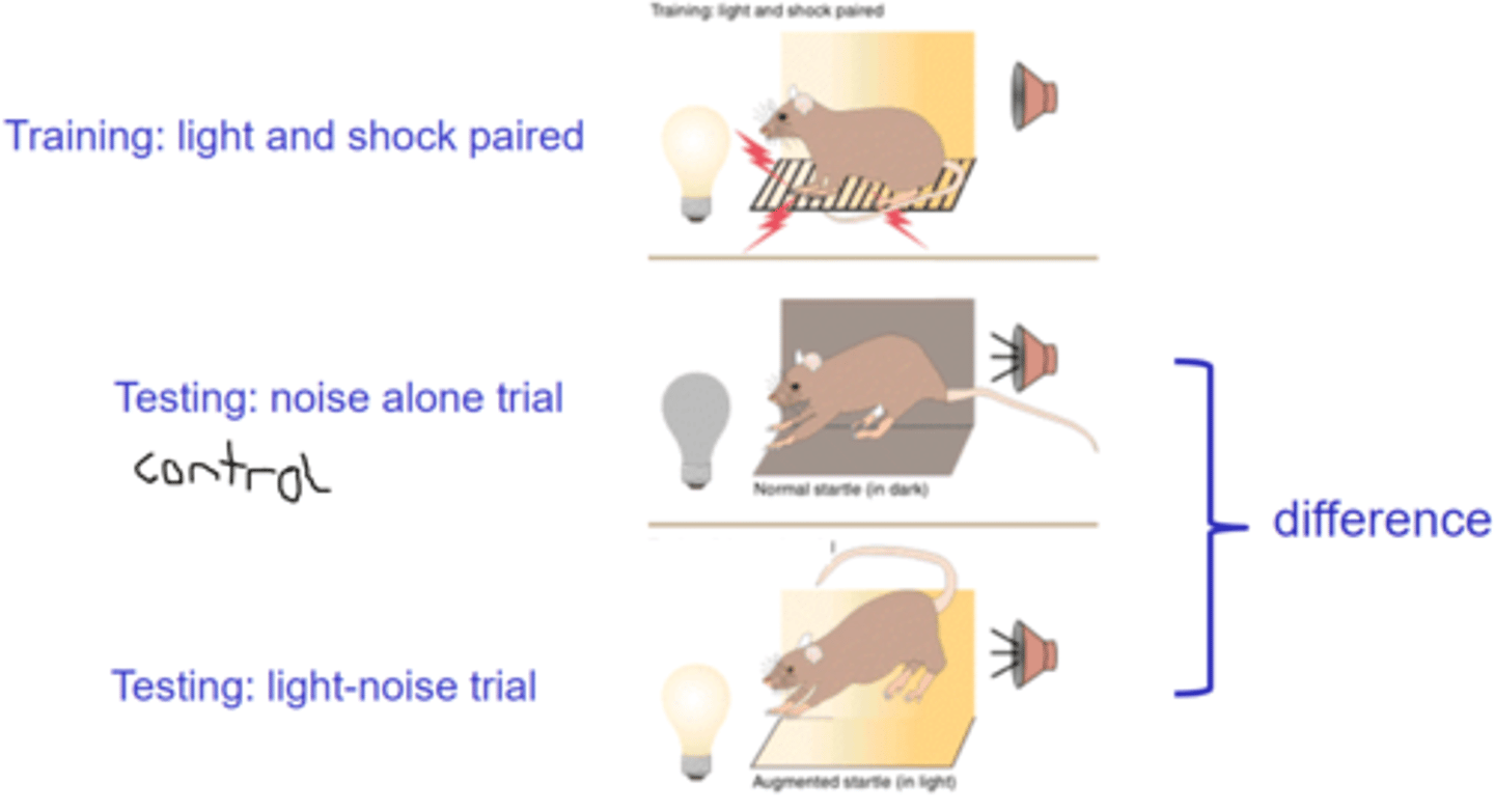<p>Measures withdrawal-related sensitivity</p>