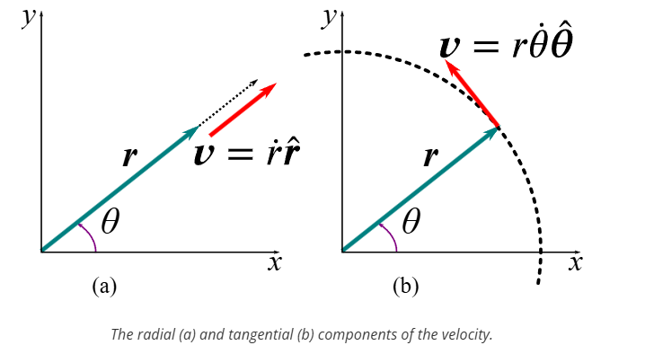 <p>a -radial , b-tangential</p>