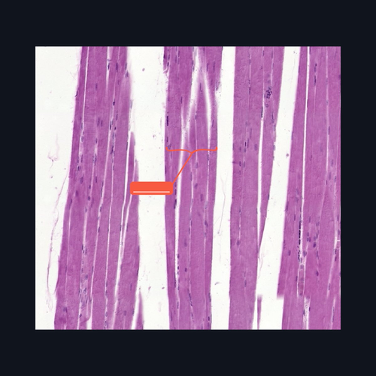 <p>Identify the structure</p>