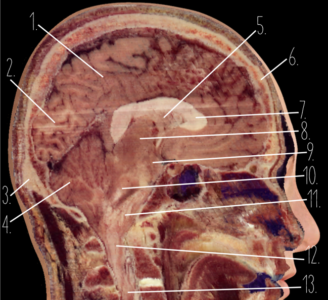 <p>2?</p>