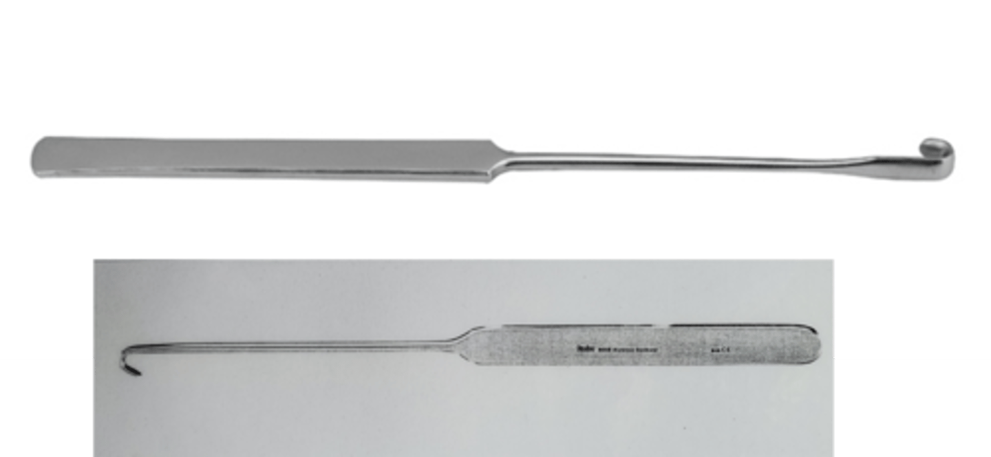 <p>localizing and mobilizing the uterus and ovaries during Ovariohysterectomy</p>