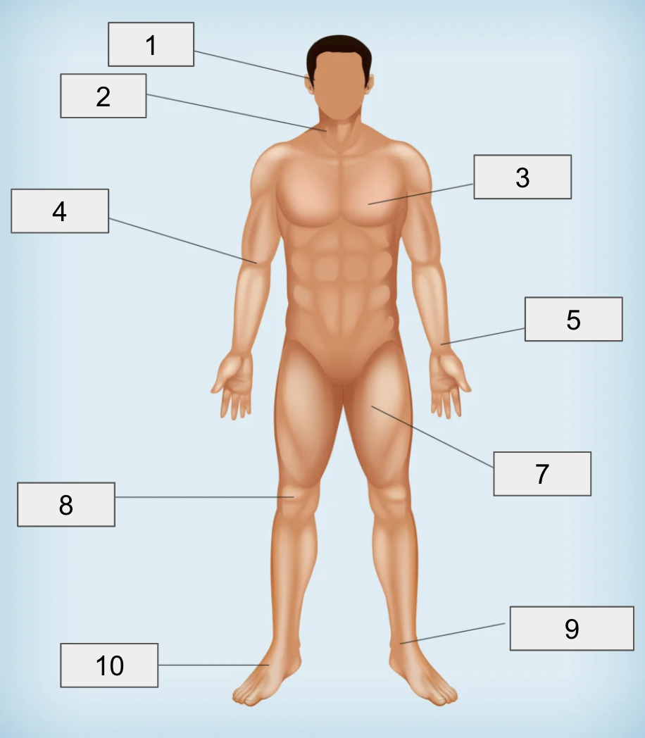 <p>10</p>