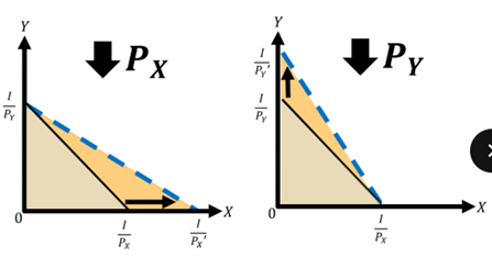 <ul><li><p>Shift or Rotation of the Budget Line</p></li><li><p>No old choice is lost.</p></li><li><p>New choices are added.</p></li></ul><p></p>