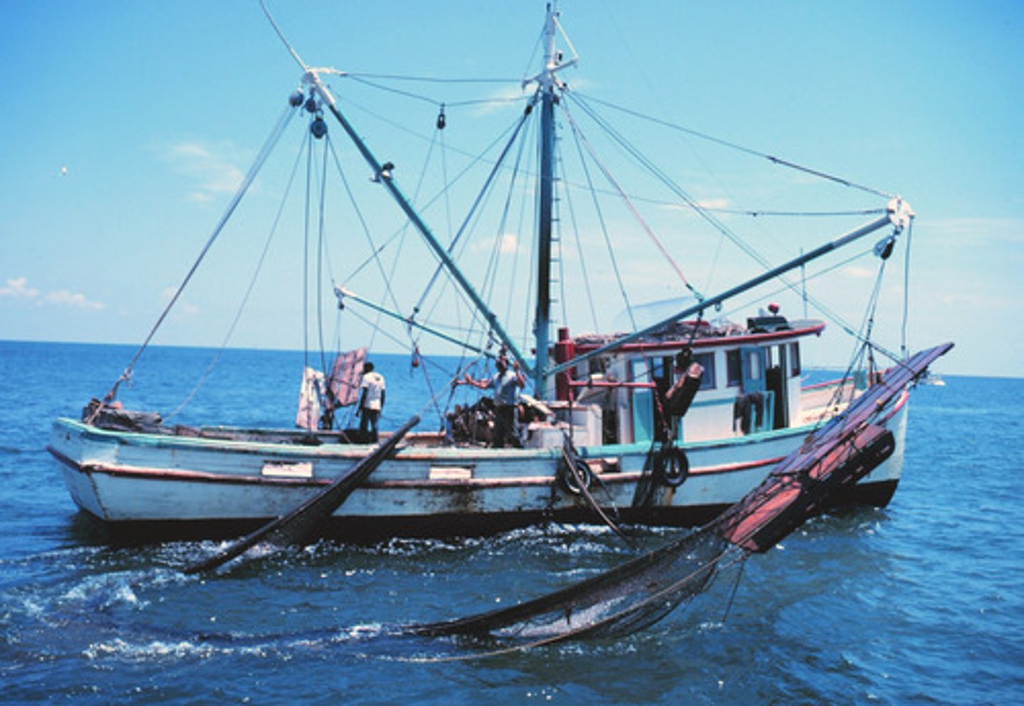 <p>the activity by which 70% of global white fish is caught in Arctic waters</p>