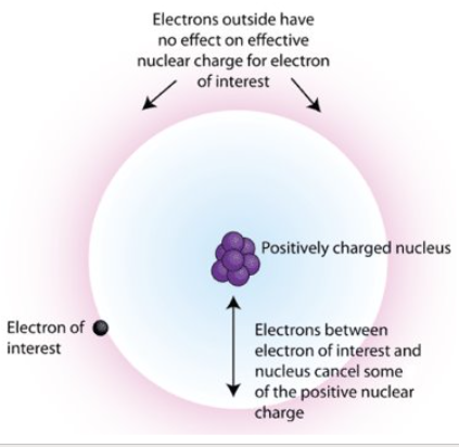 <p>The shielding effect is when core electronsn block off some of the core charge coming from the nucleus to the valance e-’s, making them only feel the effective core charge or Zeff. COre e-’s are the e-’s that are on the insider shells of an atom, not the valance or outermost shell. These core e-’s feel the full pull that the nucleus has on them, while also effectively shielding some of that pull so the valance e-’s only feel <strong>some</strong> of the attraction<span style="font-family: Calibri, Calibri_EmbeddedFont, Calibri_MSFontService, sans-serif; color: rgb(0, 0, 0)">​</span></p>