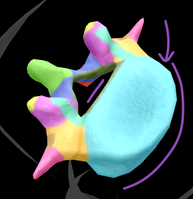term image
