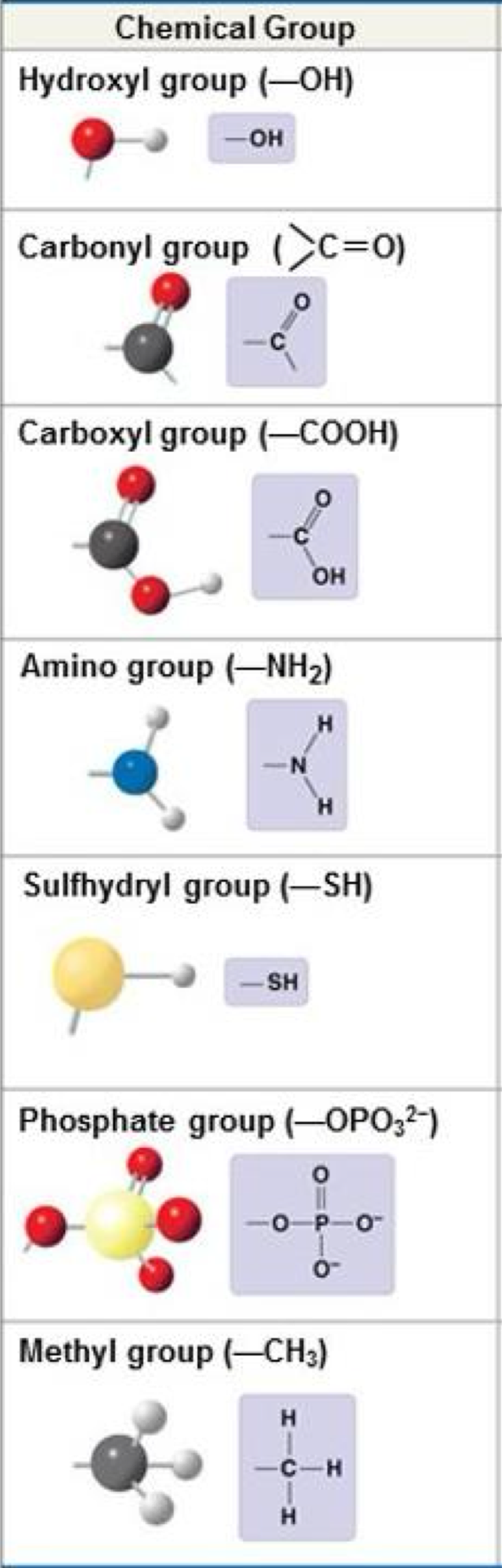 <p>Hydroxyl group</p>
