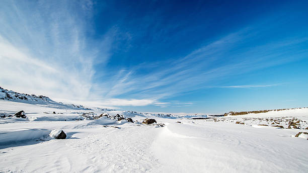 <p>Cold, extreme, year-round snow cover, temps below freezing, ice sheets, little permanent vegetation</p>