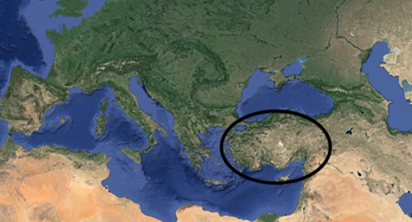 <p>A large peninsula at the western edge of Asia; also called Asia Minor</p>