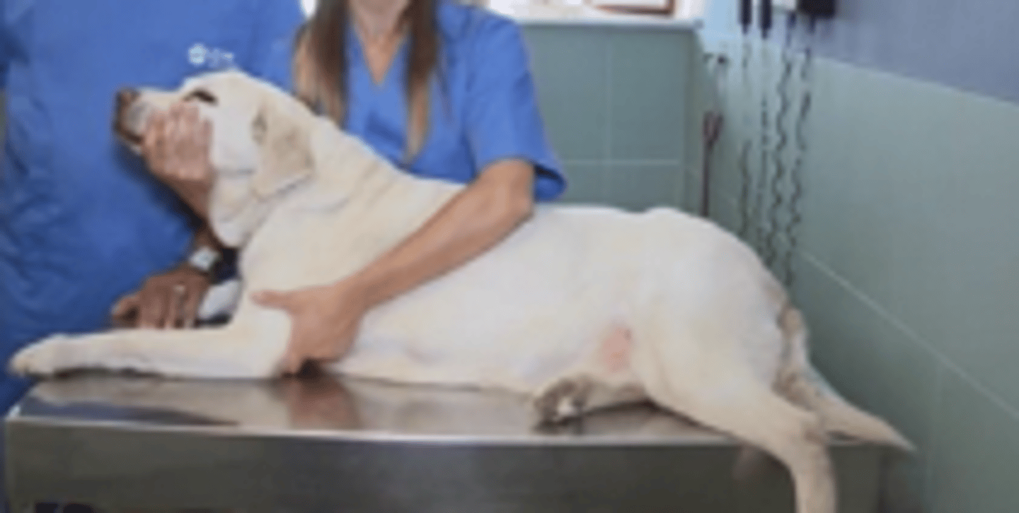 <p>what position ?</p>