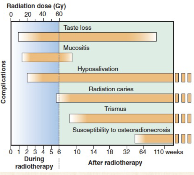 <ul><li><p>Taste loss</p></li><li><p>Mucositis</p></li><li><p>Hyposalivation</p></li><li><p>Radiation caries</p></li><li><p>Trismus</p></li><li><p>Susceptibility to osteoradionecrosis</p></li></ul><p></p>