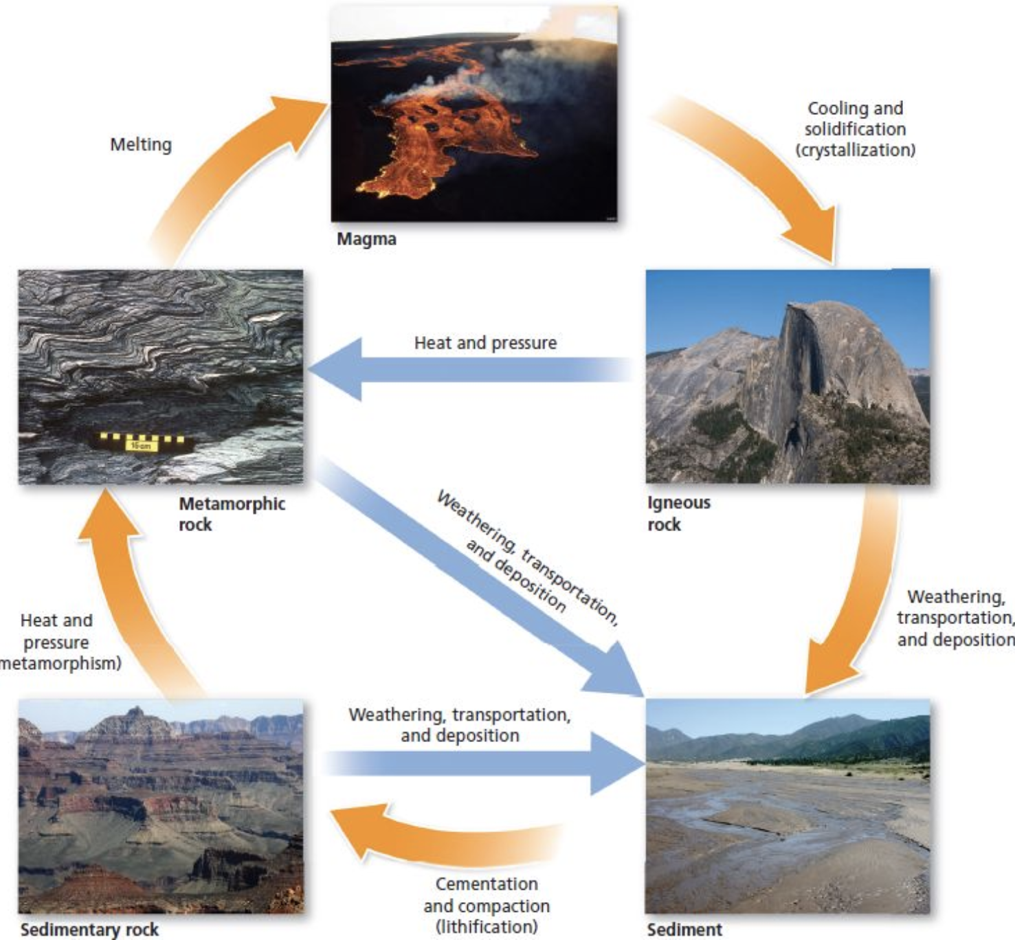 Chapter 2: Building Blocks Notes | Knowt