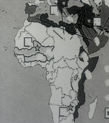 <p>What is the civilization pictured in the northwestern region of Africa under the civilization with the star? </p>