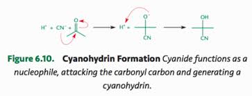 <p>Formed from reactions with aldehydes and ketones and HCN</p>