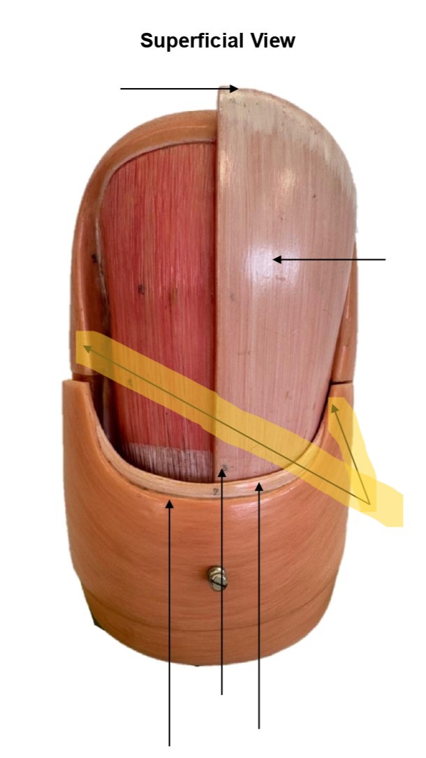 term image