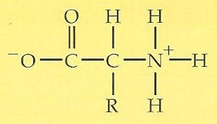 zwitterion