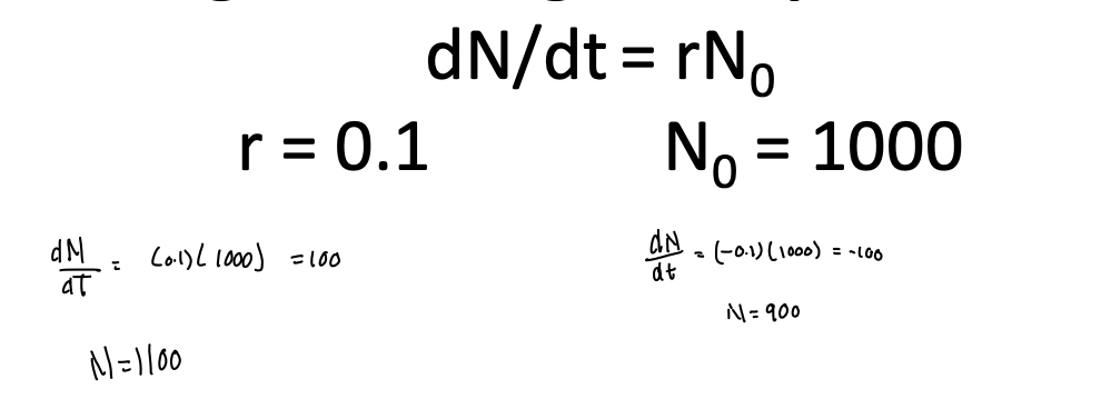 <p>dN/dt = rN0</p>