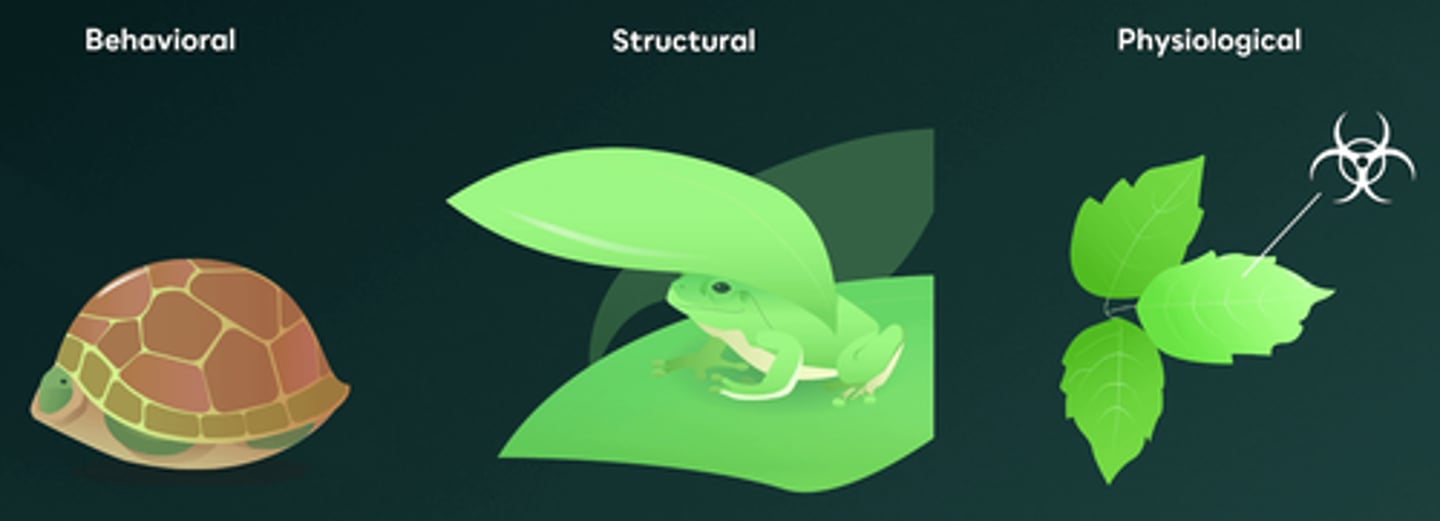 <p>C.I, II, and IV</p><p>There are three main types of survival adaptations: behavioral, structural, and physiological. Behavioral adaptations involve actions or behaviors that organisms perform to improve their chances of survival, which can be either instinctive or learned. Statements I, II, and IV describe behavioral adaptations, where the organisms engage in specific behaviors to enhance their survival. Statements III and V are structural adaptations and physiological adaptations respectively.</p>