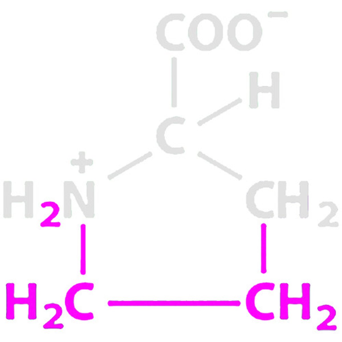 <p>name of amino acid</p>