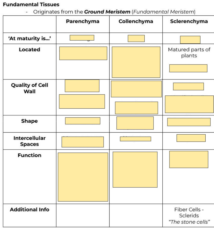 <p>Matured parts of plants</p>
