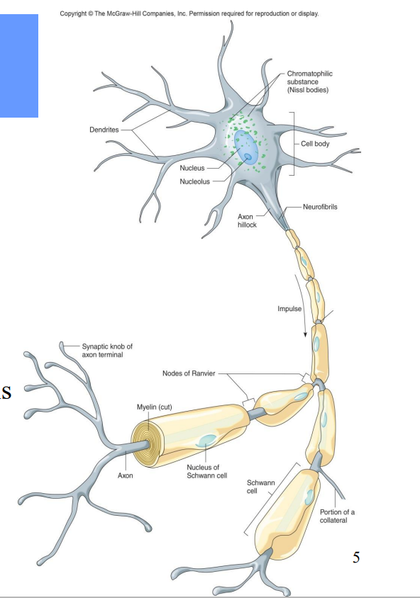 <p>Label the diagram</p>