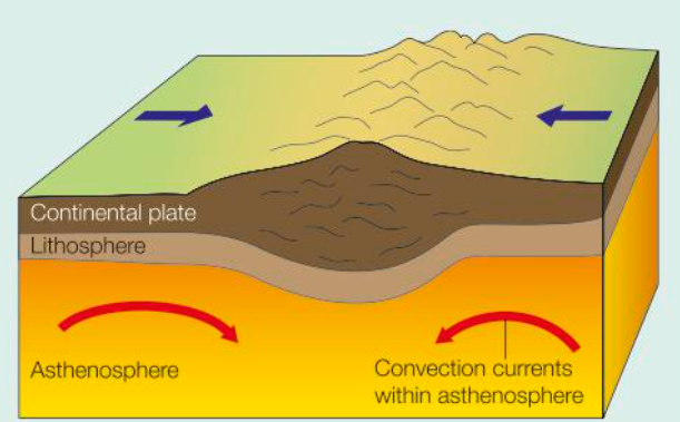 <ul><li><p>Continental plates are less dense that the asthenosphere below, so subduction does not occur.</p></li><li><p>The colliding plates become uplifted and buckle to form high fold mountains e.g., Himalayas.</p></li><li><p>Volcanic activity doesn’t occur at this boundary because there isn’t any subduction, but shallow-focus earthquakes can be triggered.</p></li><li><p>Young fold mountains are continually compressing and growing higher.</p></li></ul><p></p>