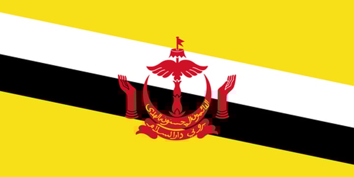 <p>Yellow = the sultan, traditionally the color of royalty in Southeast Asia.</p><p>Crescent = Islam.</p><p>Parasol = monarchy.</p><p>Hands = the benevolence of the government.</p><p>Black and white stripes = chief ministers (first minister = slightly thicker white stripe, second minister = black stripe).</p><p>National motto on the crescent (الدائمون المحسنون بالهدى) = "Always render service with God's guidance."</p><p>Name of the country on a banner below the crescent.</p>