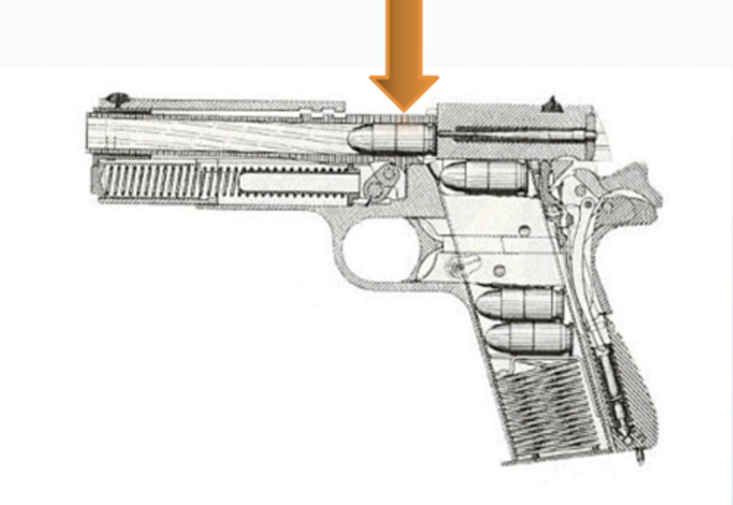 <p>Where the ammunition sits before it is shot</p>