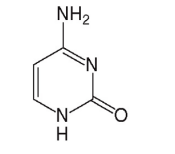 <p>[Identify the Pyrimidine  Base Structure]</p>