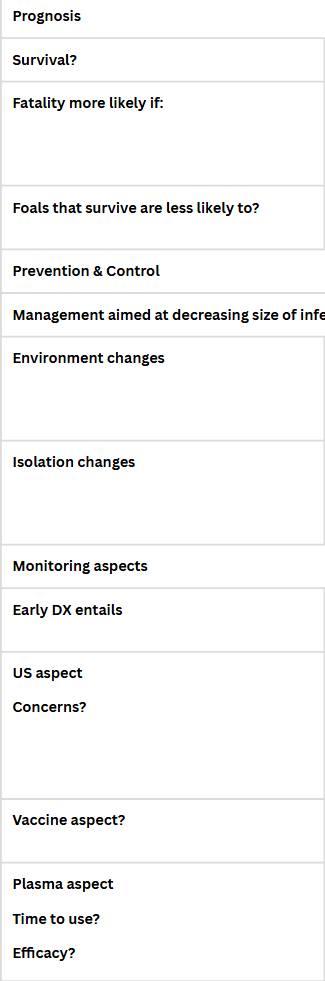 <p>BACTERIAL PNEUMONIA IN OLDER FOALS - Rhodococcus equi</p>