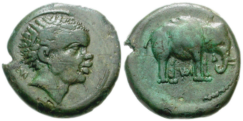 <p>Etruscan Coin </p>