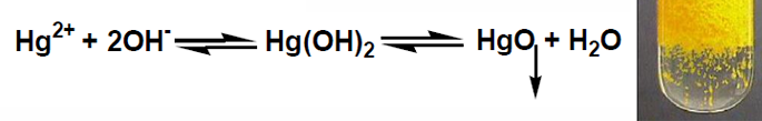 <p>groupe IIb (Hg <sup>2+</sup>)</p>