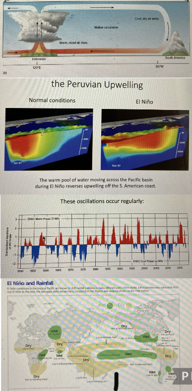 …A regularly occurring reversal of the Indonesian Low and South Pacific High, and the flow of warm water across the Pacific from west to east, which deepens the thermocline and enhances upwelling