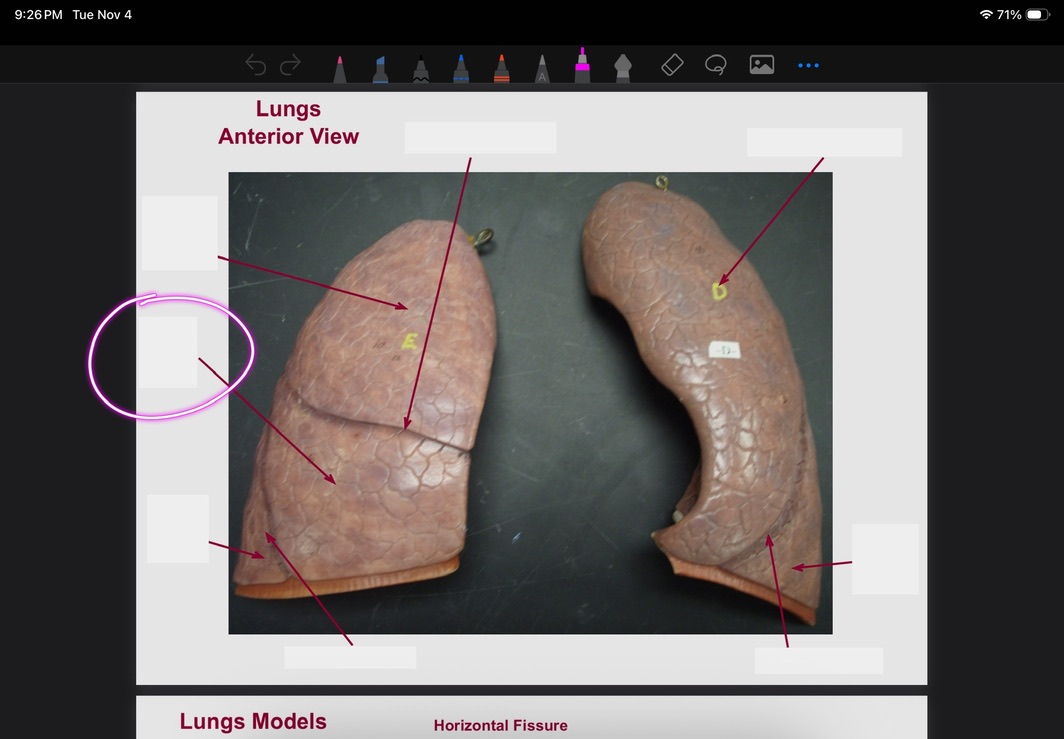 <p>What is this?</p>