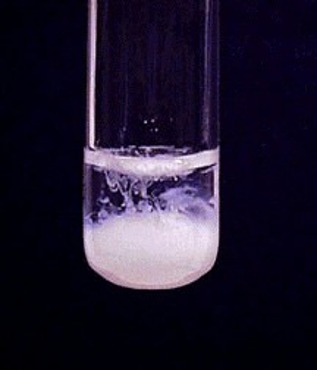 <p>White precipitate produced</p>