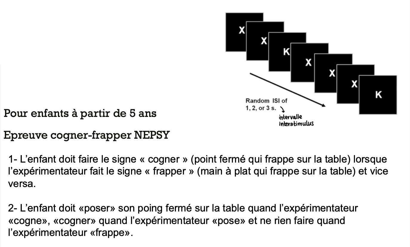 <ul><li><p>tâche go / no-go</p></li><li><p>les enfants de 9 à 11 ans peuvent inhiber l’exécution de leur mouvement à une étape antérieure relativement aux enfants de 5 à 7 ans</p><p>→ les plus jeunes vont plus loin dans le mouvement</p></li></ul><p></p>